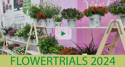 Kientzler Flowertrials 2024