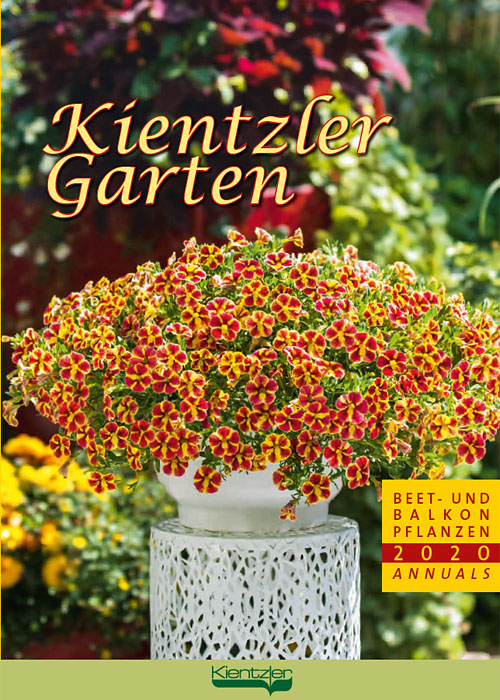 Kientzler Jungpflanzen Katalog Online Lesen