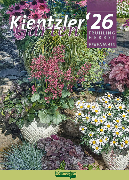 Kientzler Jungpflanzen Katalog 2026 Kientzler Jungpflanzen Katalog 2026