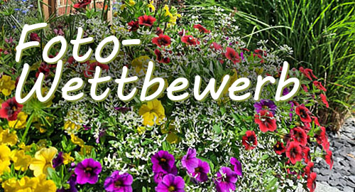 Zauberschnee Fotowettbewerb 2020