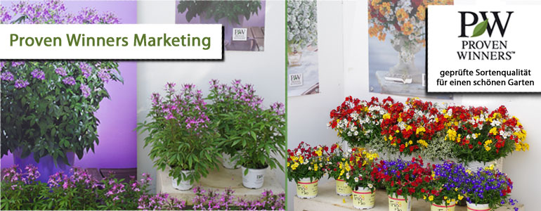 Marketing Proven Winners